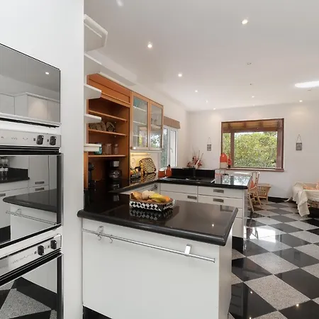 Pool With Botanical Garden Villa Funchal (Madeira)